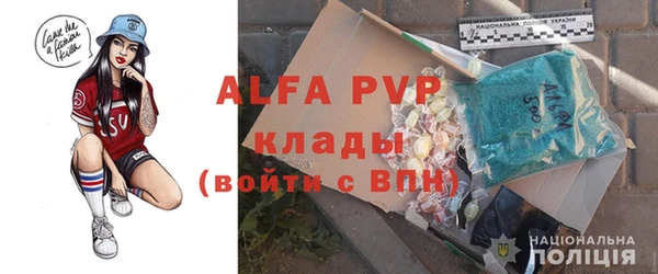 индика Алексин