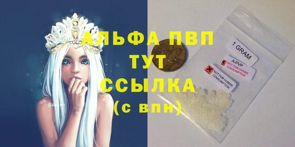 крисы Новодвинск