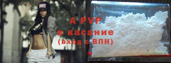 крисы Новодвинск
