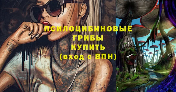 крисы Новодвинск