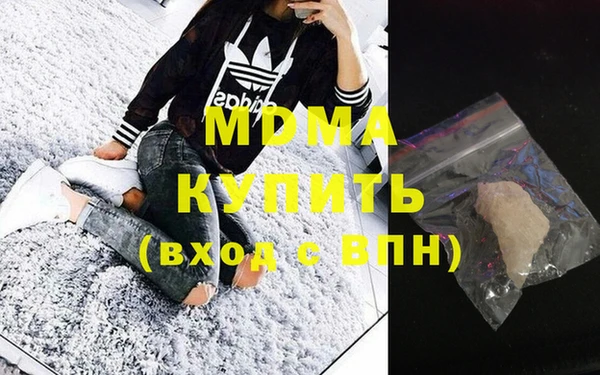 индика Алексин