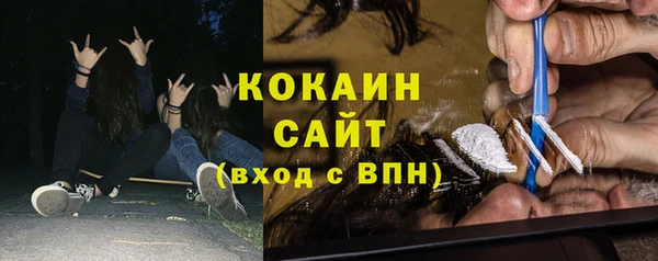 индика Алексин
