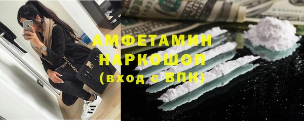 индика Алексин