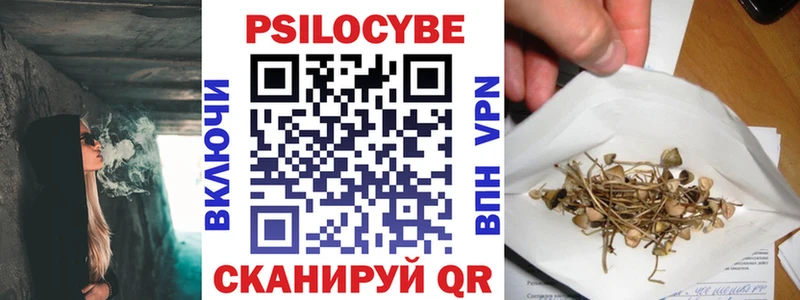 blacksprut зеркало  Ардатов  Псилоцибиновые грибы GOLDEN TEACHER  как найти наркотики 